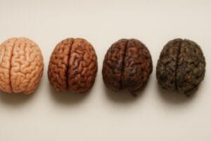 Como Acabar Com o Cérebro Podre e Memorizar Mais