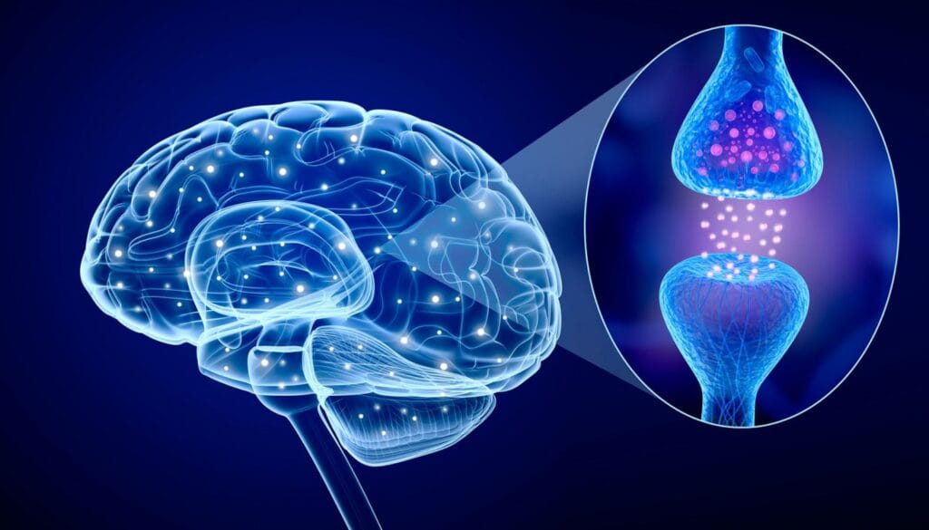 Neurotransmissores e TDAH: O que realmente acontece no cérebro?